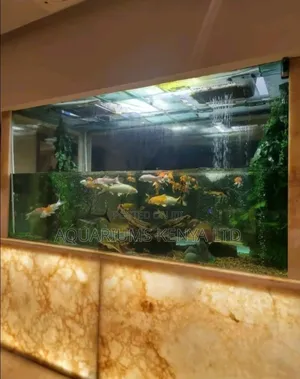 Expert Aquarium Handlers , Cleaning Services or Shifting