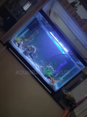 Aquarium Interior Elegance , Custom Made