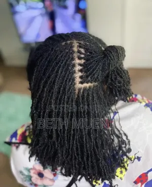 Human Extensions
