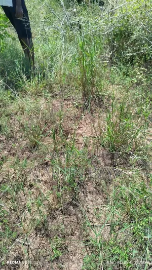 12 Acre Parcel of Prime Irrigation Land in Malindi -Madunguni