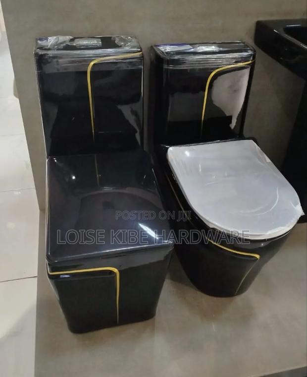 Black Toilets Are Available in Big Size