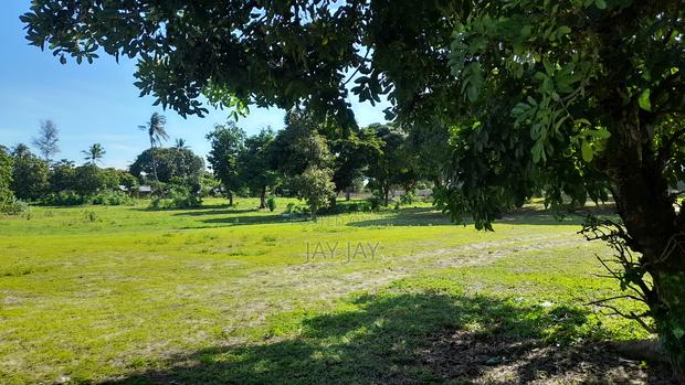 50 by 100 Plot for Sale in Mtwapa/Mtomondoni - thumbnail 2