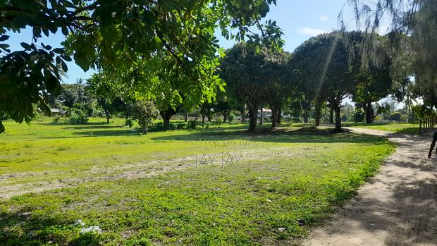 50 by 100 Plot for Sale in Mtwapa/Mtomondoni - thumbnail 5