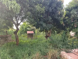 3 Acres,Makuyu,Kambiti Area,850m From Highway.