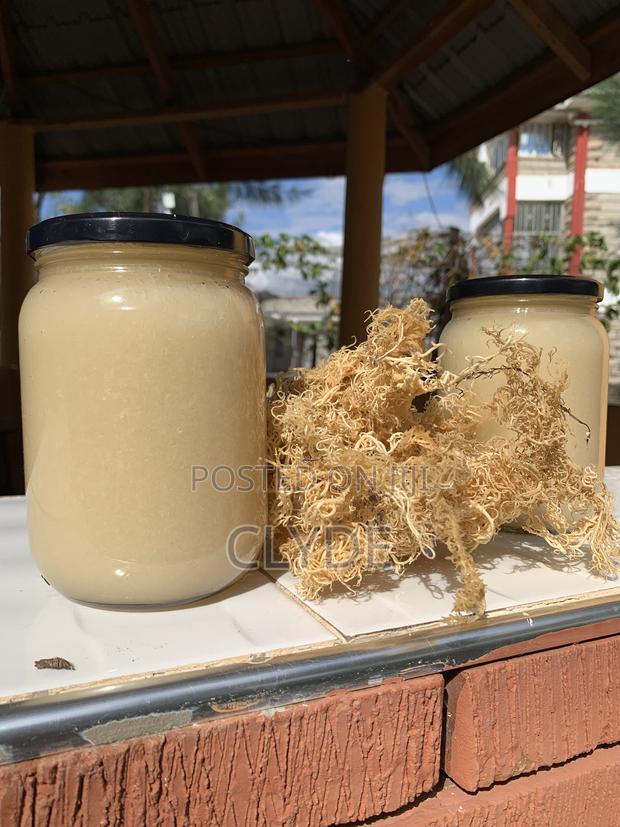 Sea Moss Gel - main view