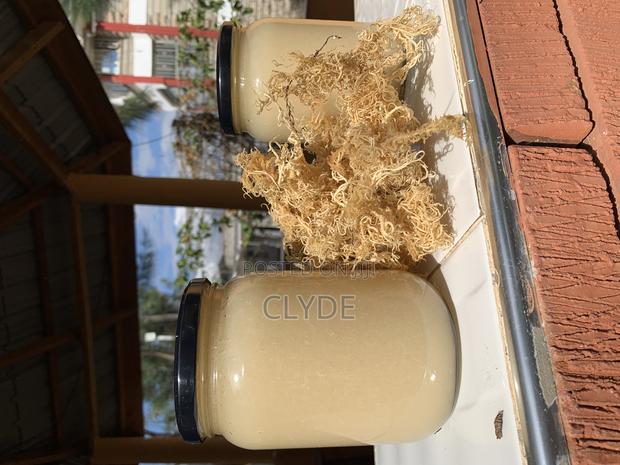 Sea Moss Gel - thumbnail 3