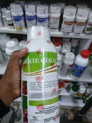 Genie Gold - main view