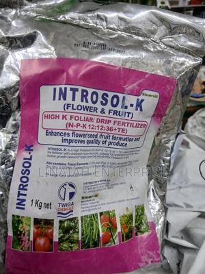 Introsol-K 1kg Fruit and Flower NPK 12:12:36+Te