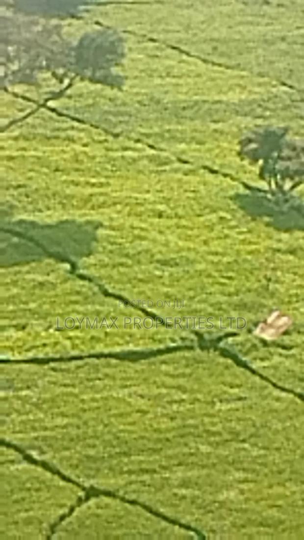 11 Acres Near Gituru Boys Muranga With Tea and Avocado Trees - thumbnail 6
