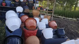 Variety of Flower Vases,Flowervases