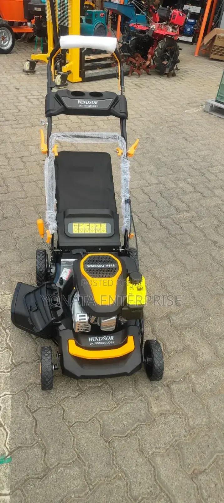 5.5hp Lawn Mower (Windsor Uk)