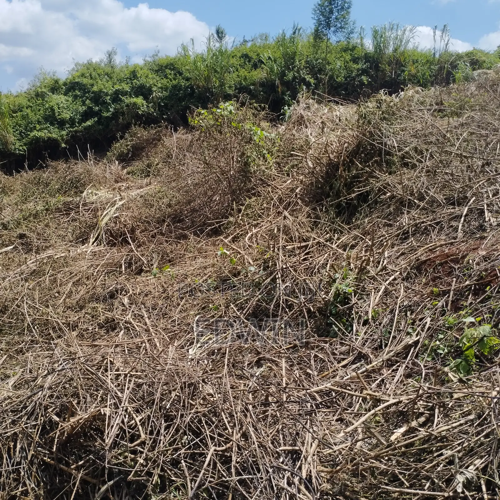 Prime 1-Acre Land for Sale Opposite Mother Mercy, Ruaka