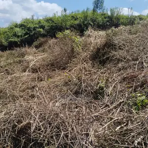 Prime 1-Acre Land for Sale Opposite Mother Mercy, Ruaka