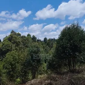 Prime 1-Acre Land for Sale Opposite Mother Mercy, Ruaka