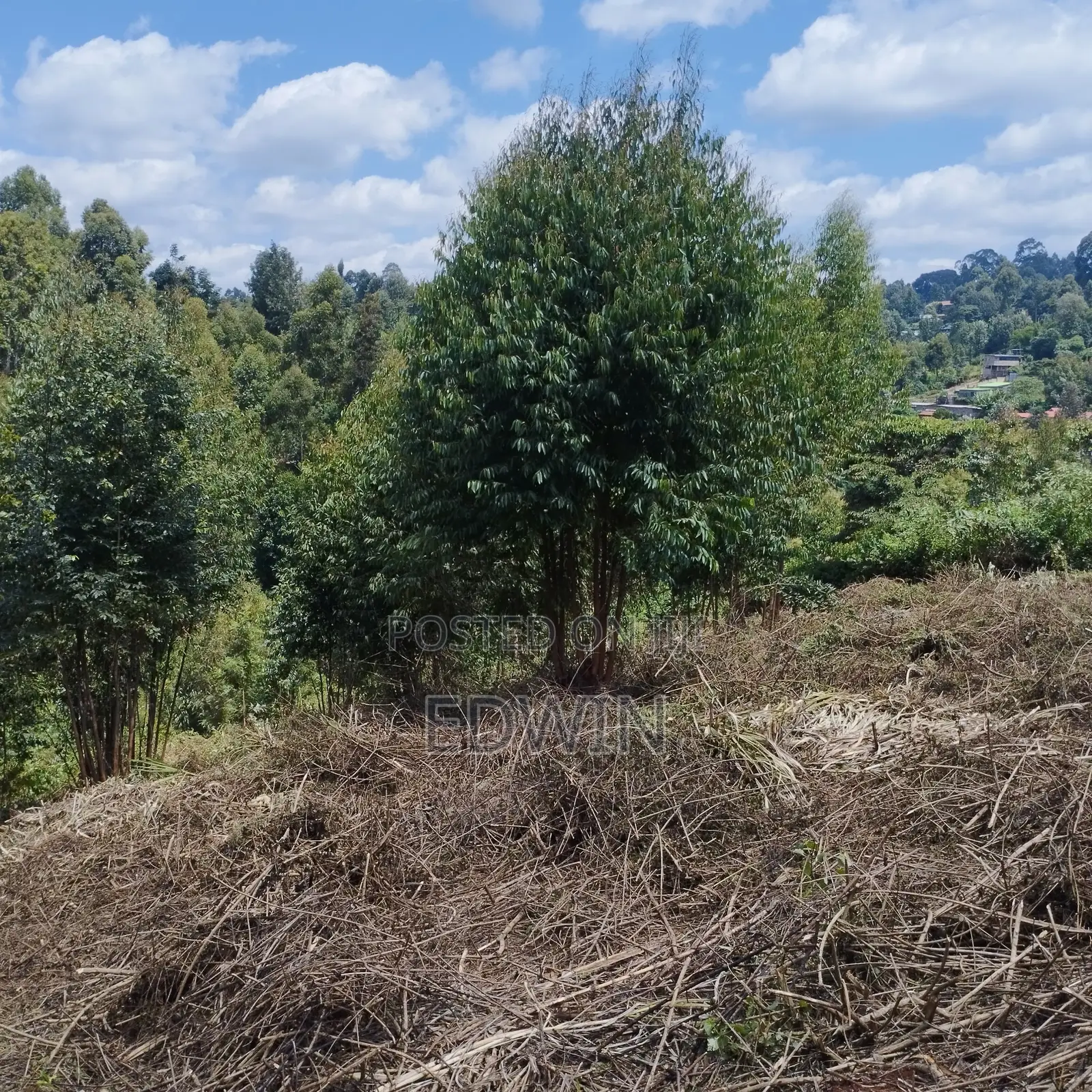Prime 1-Acre Land for Sale Opposite Mother Mercy, Ruaka
