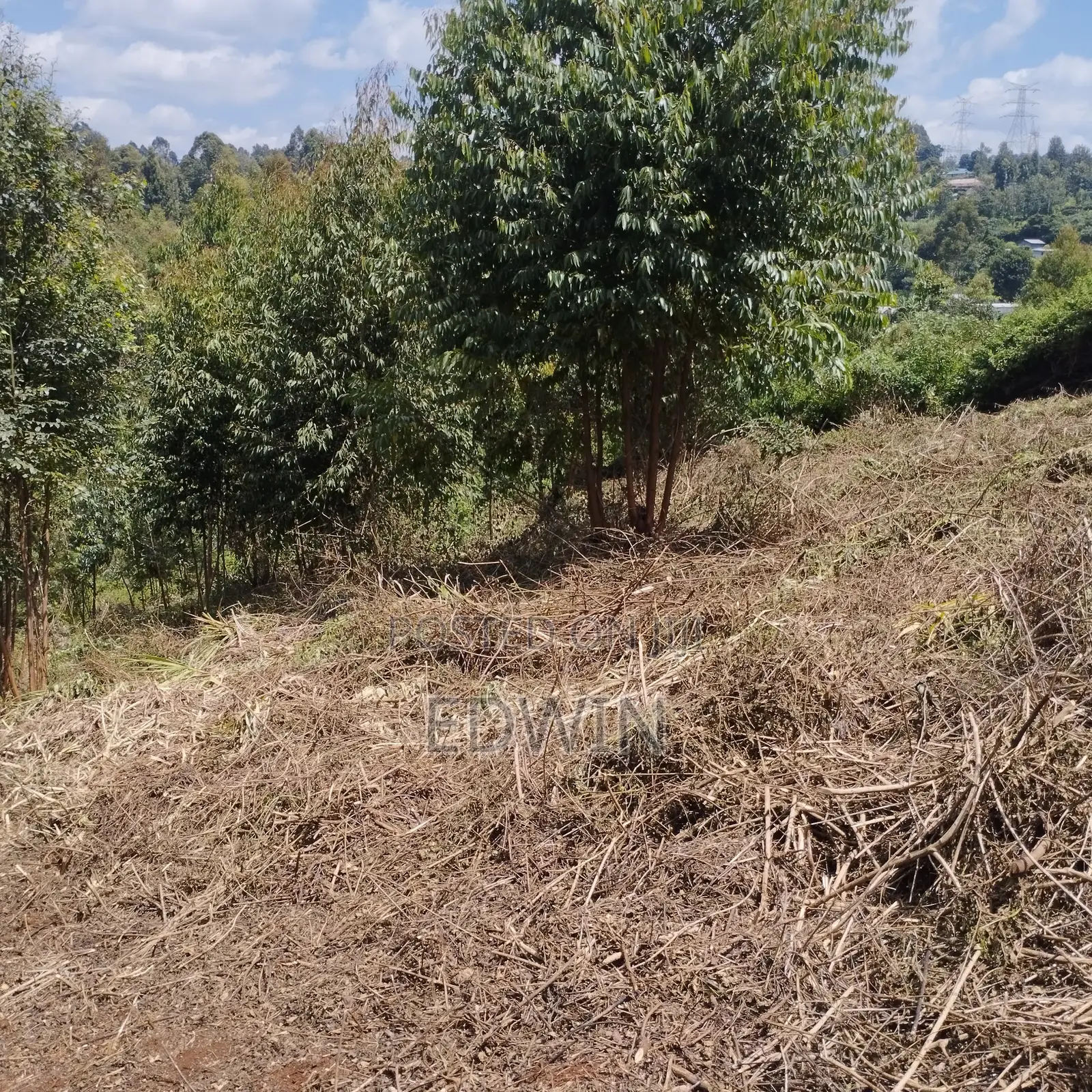 Prime 1-Acre Land for Sale Opposite Mother Mercy, Ruaka