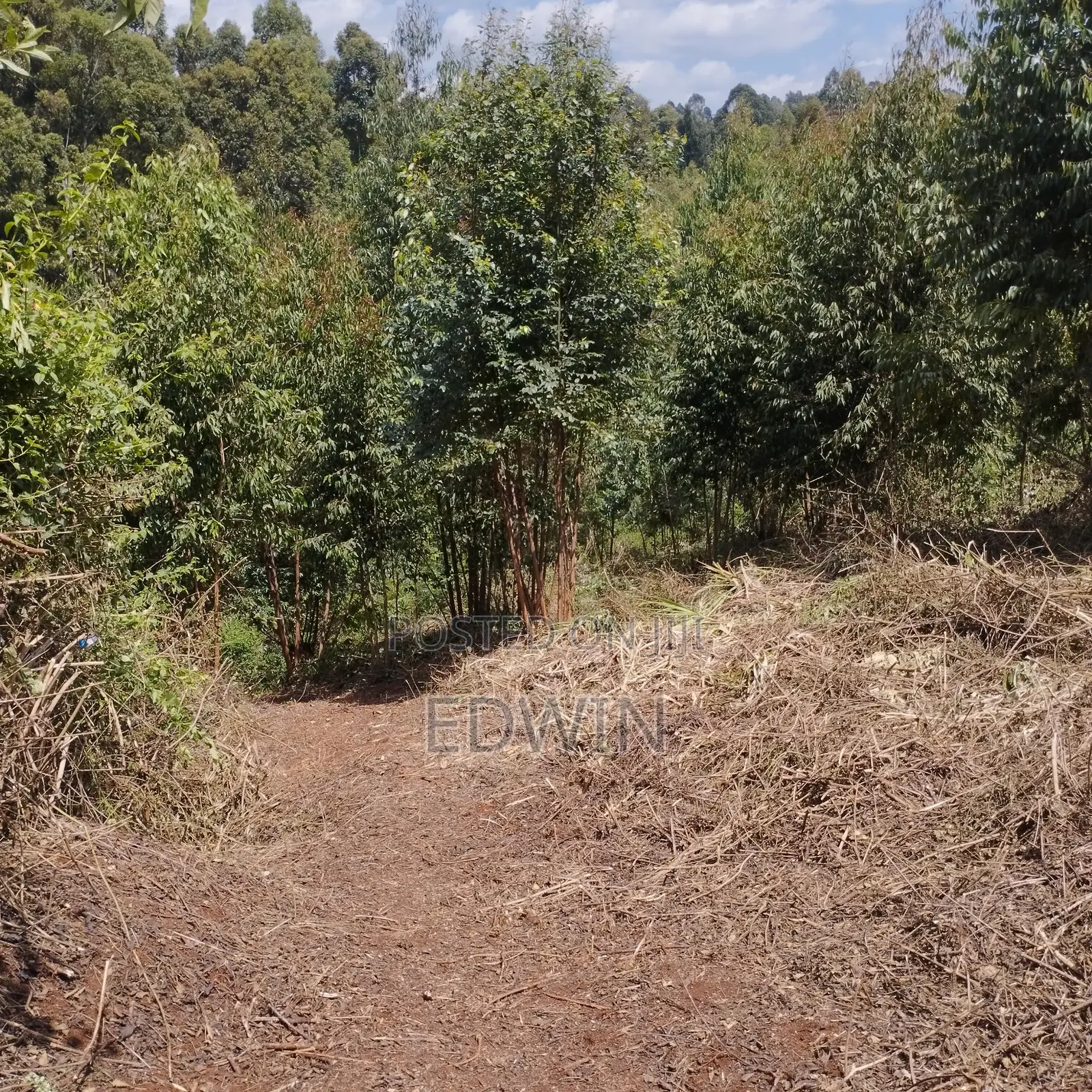Prime 1-Acre Land for Sale Opposite Mother Mercy, Ruaka