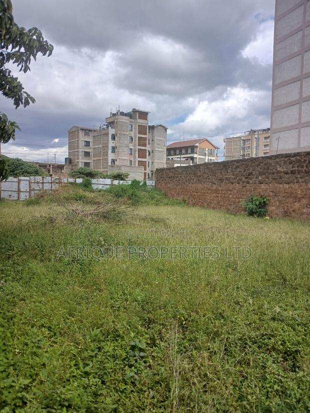 Plot for Sale 55x110 Ft Behind Plainview Hospital Ruiru - thumbnail 2