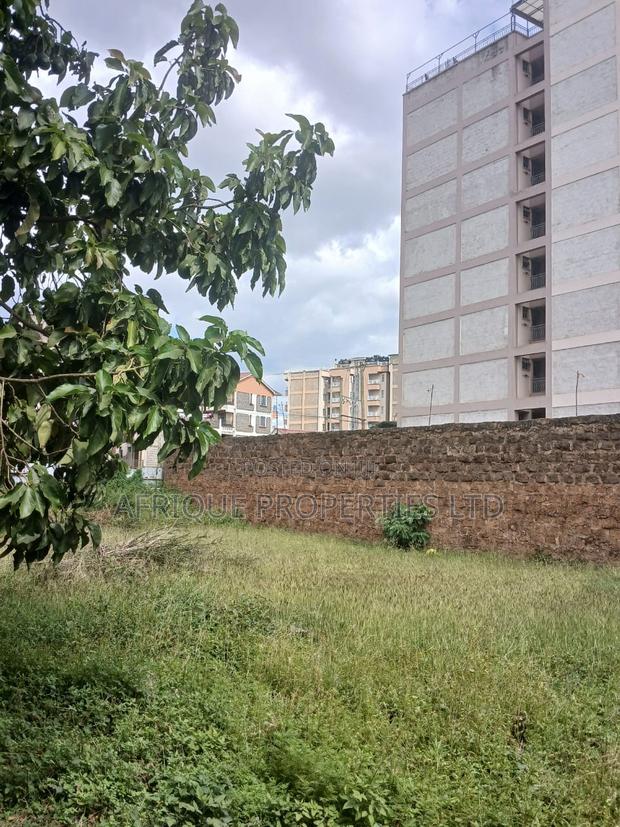 Plot for Sale 55x110 Ft Behind Plainview Hospital Ruiru - thumbnail 8