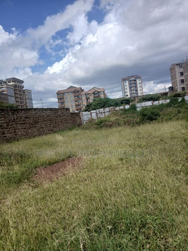Plot for Sale 55x110 Ft Behind Plainview Hospital Ruiru - thumbnail 3