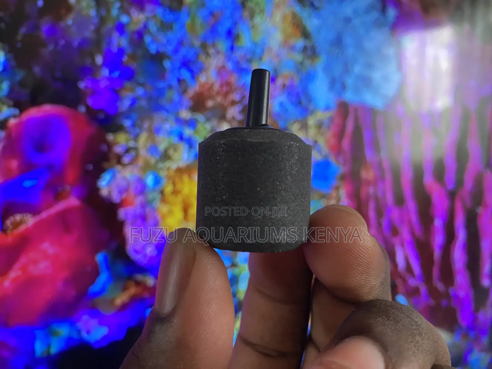 Essential Aeration Made Easy With Our Air Stones