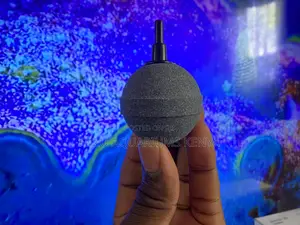 Upgrade Your Tank’S Circulation With Our Air Stones