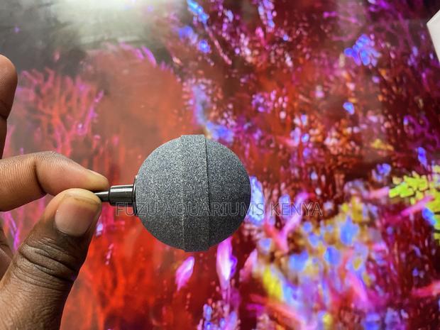 Durable, High-Performance Air Stones for Every Tank - main view