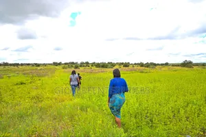 Kajiado/ Loitokitok Road