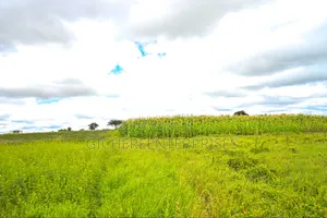 Kajiado/ Loitokitok Road