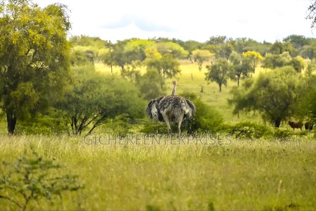 Kajiado/ Loitokitok Road - thumbnail 7