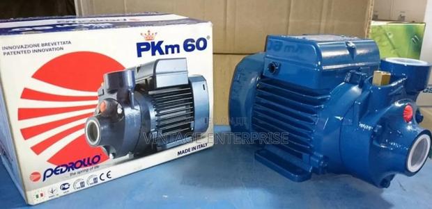 Pedrollo PKM 60 0.5kw Pump