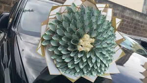 Money Bouquet
