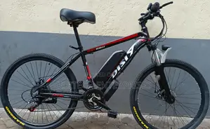 Electric Sport Bike/Electric Sport Bicycle