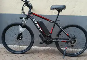Sport Electric Bike/Rechargeable Sport Bike