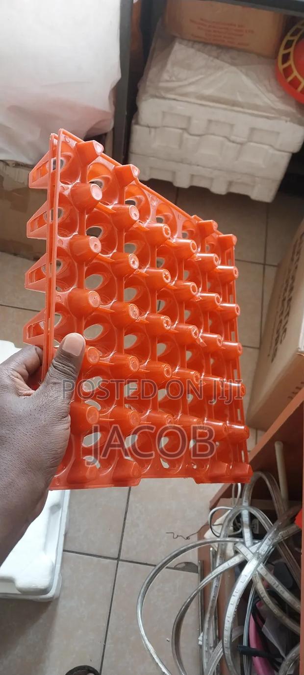 Plastic Egg Trays - thumbnail 3