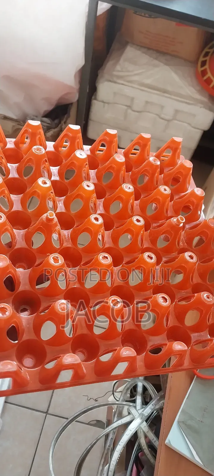 Plastic Egg Trays
