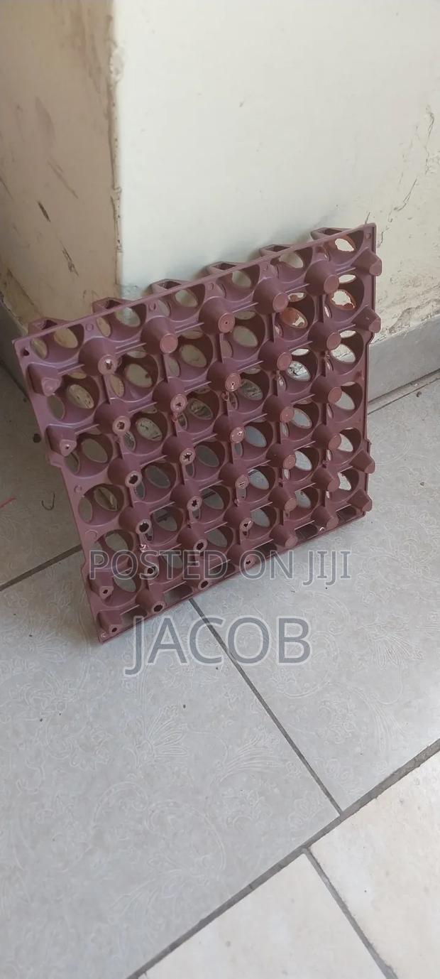 Plastic Egg Trays - thumbnail 6