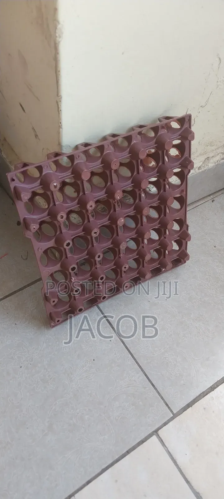 Plastic Egg Trays
