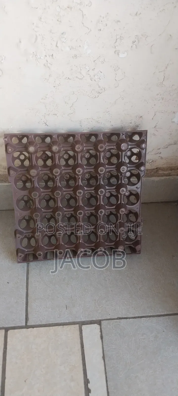 Plastic Egg Trays