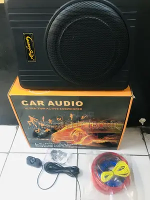 Car Audio Subwoofer. 10”