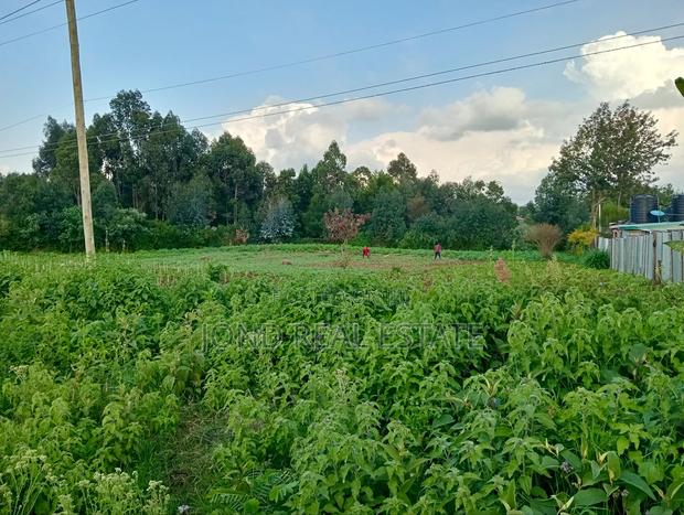 1 Acre Commercial Land for Sale in Limuru - thumbnail 9