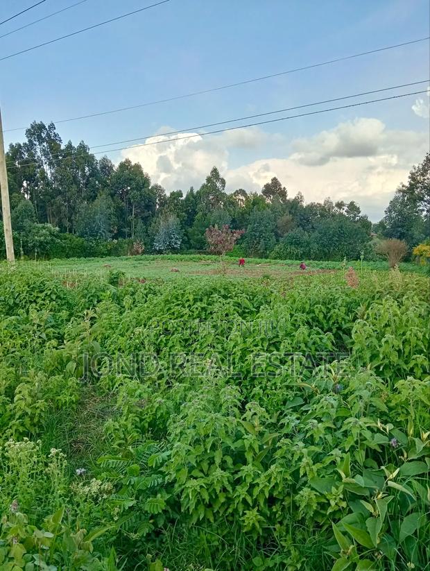 1 Acre Commercial Land for Sale in Limuru - thumbnail 12