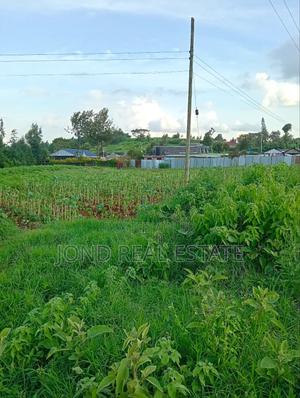 1 Acre Commercial Land for Sale in Limuru - thumbnail 2