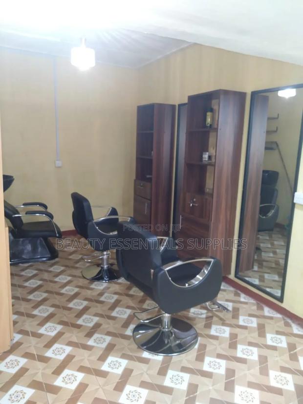Salon Chairs/Styling Chair/ Plaiting Chair
