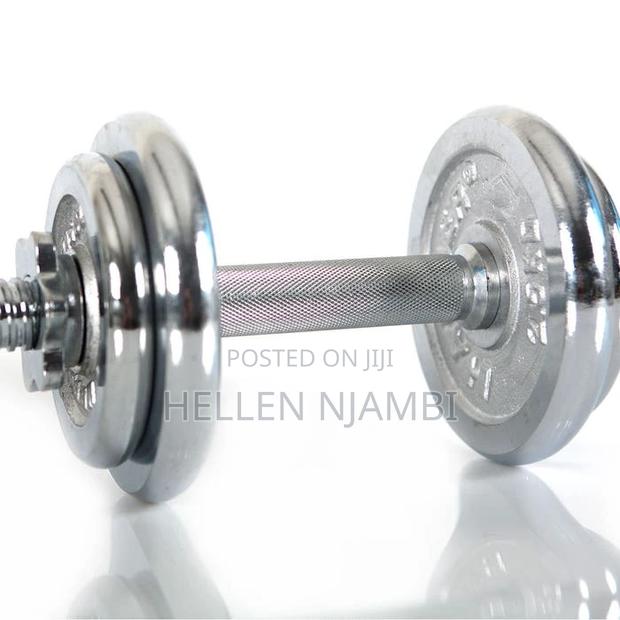 10kgs Chrome Dumbbells - main view