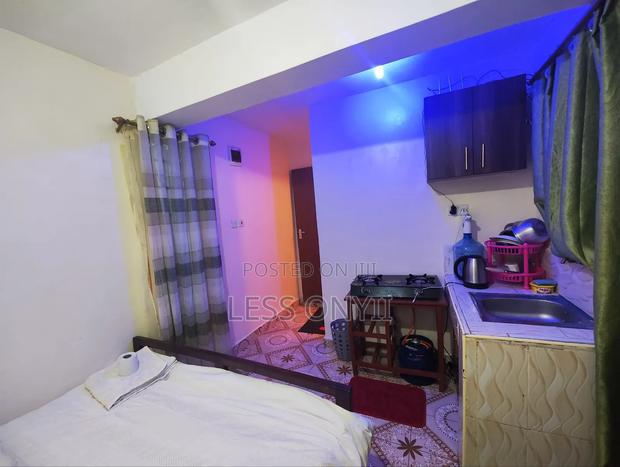 Airbnb Bedsitter in Less Properties (Kinoo) - thumbnail 4