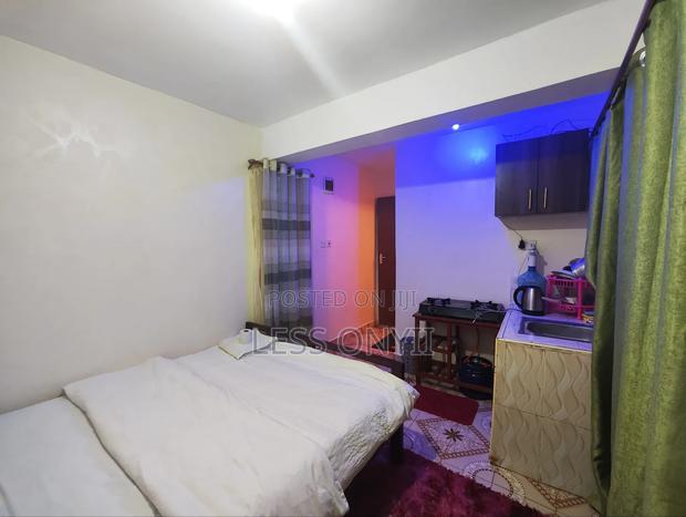 Airbnb Bedsitter in Less Properties (Kinoo) - thumbnail 5