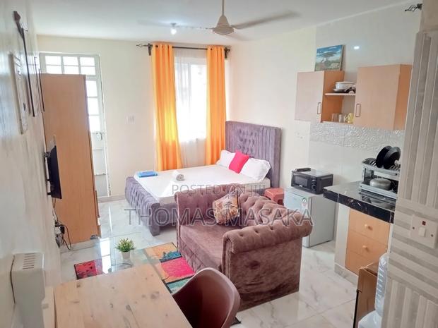 Executive Studio Apartment - main view