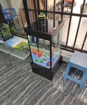 Aquarium, Aquascape , Mini Stand and Cover, Aquarium Fish