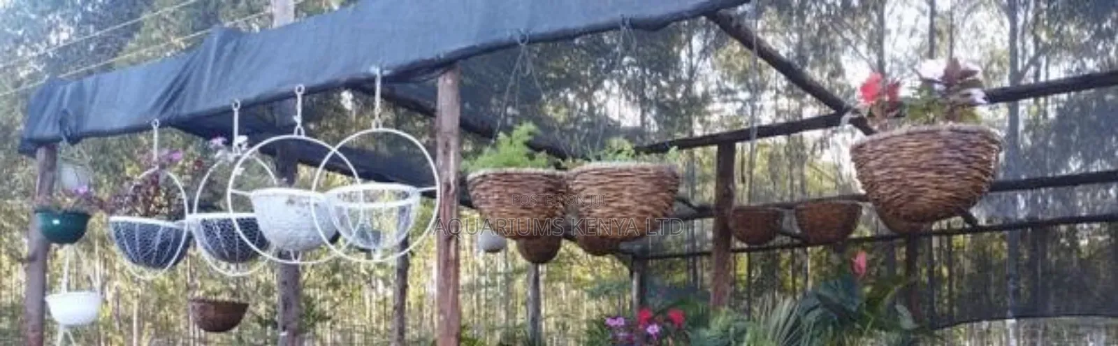 Hanging Plants And Vases